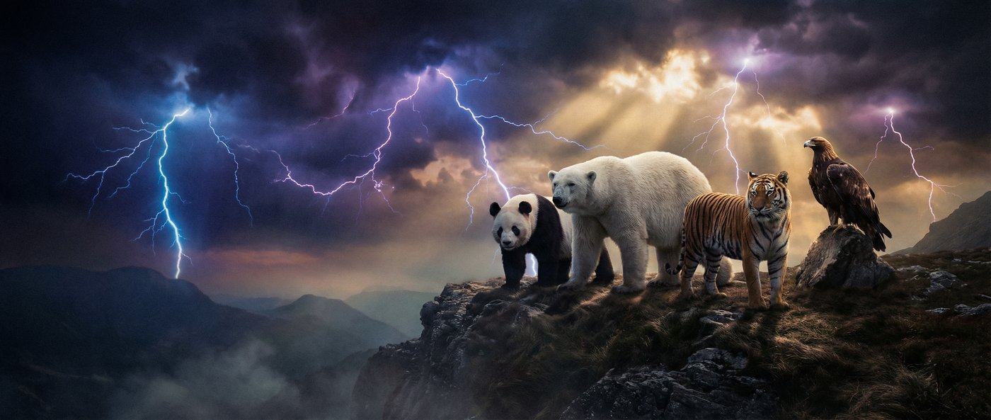 糖心动物写真视频社区